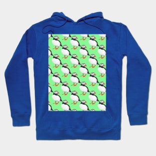 Puffin pattern on green Hoodie